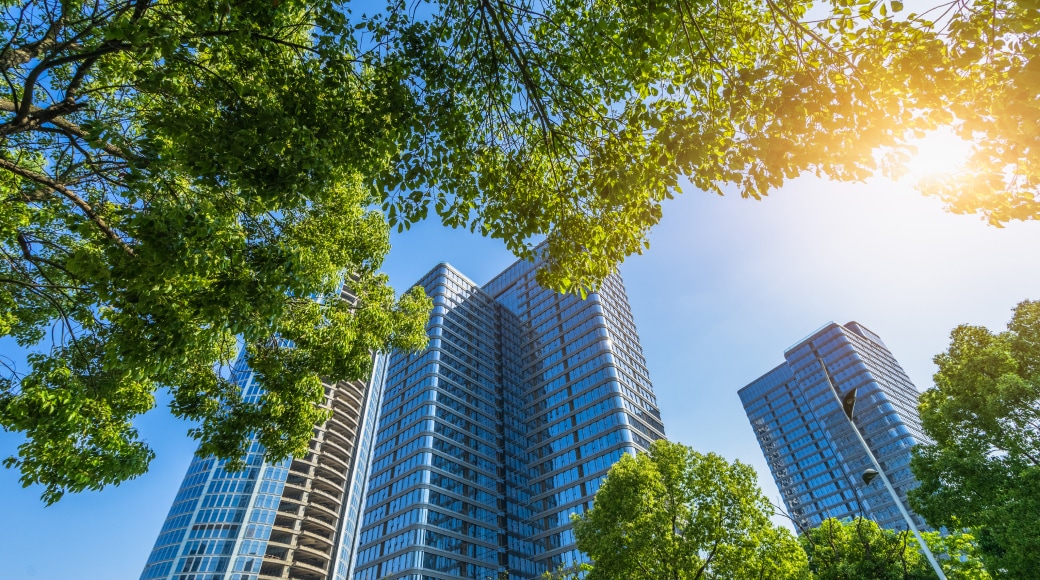 BANNER GREEN SANCTUARY 1